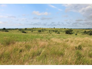 Property photo 37 - LAND AUCTION - 1,593+/- ACRES OFFERED IN 21 TRACTS IN OKMULGEE CO., OK